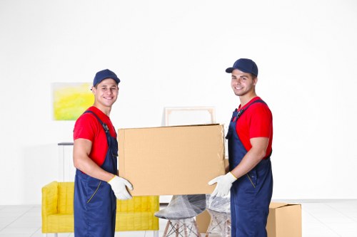 Man and van team preparing a safe loading process